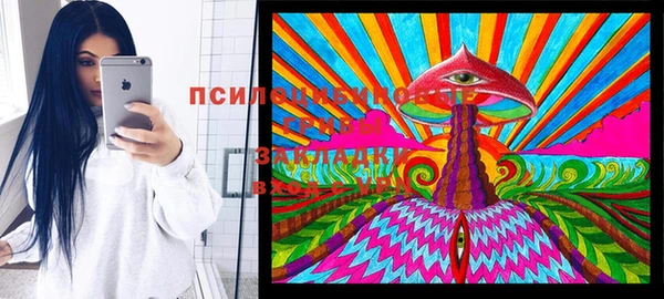 Альфа ПВП Арсеньев