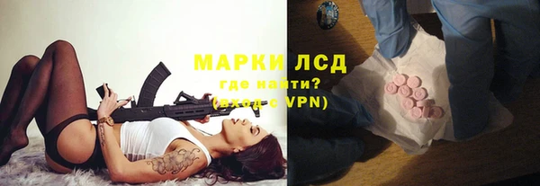 гашик Аркадак