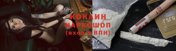 гашик Аркадак