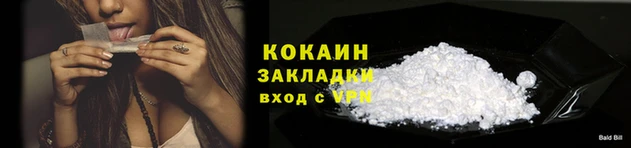 гашик Аркадак