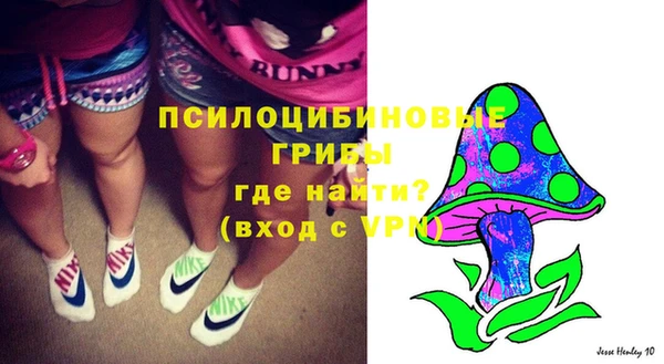 гашик Аркадак