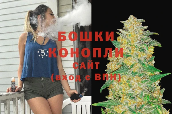 гашик Аркадак
